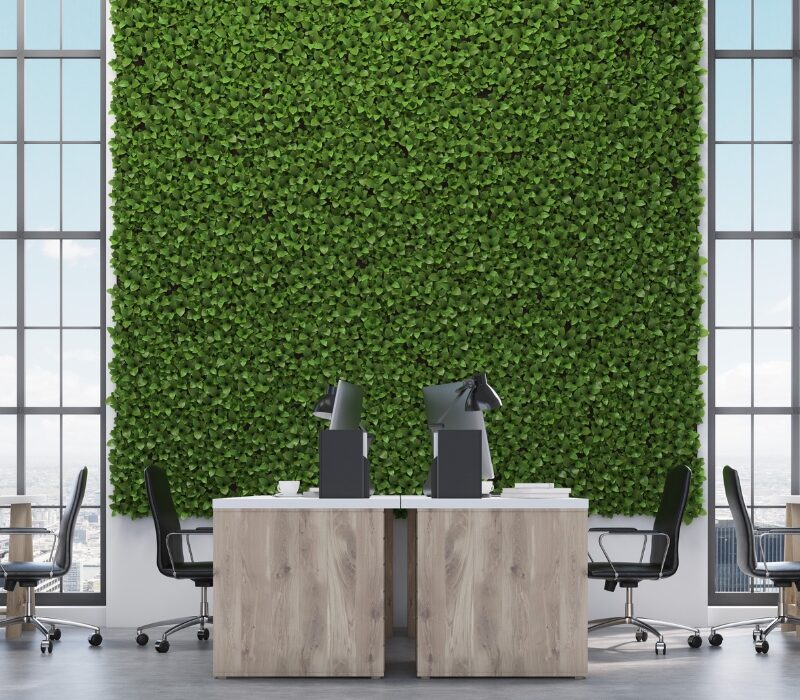 Untitled design (10)