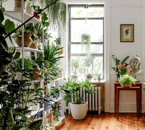 Untitled design (13)