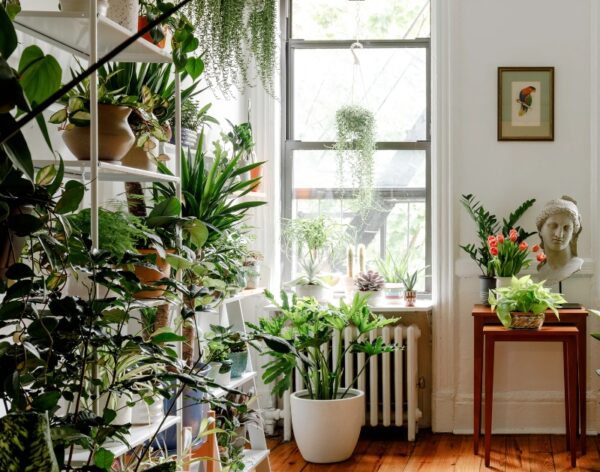 Untitled design (13)