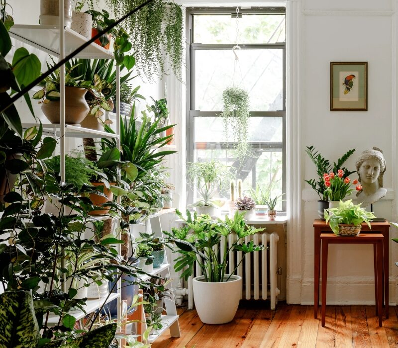 Untitled design (13)