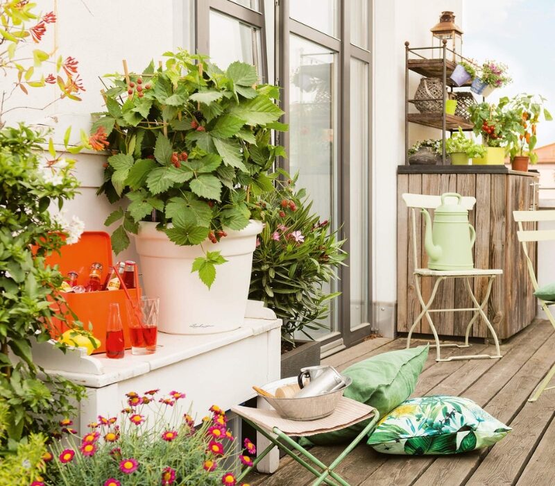 Untitled design (15)