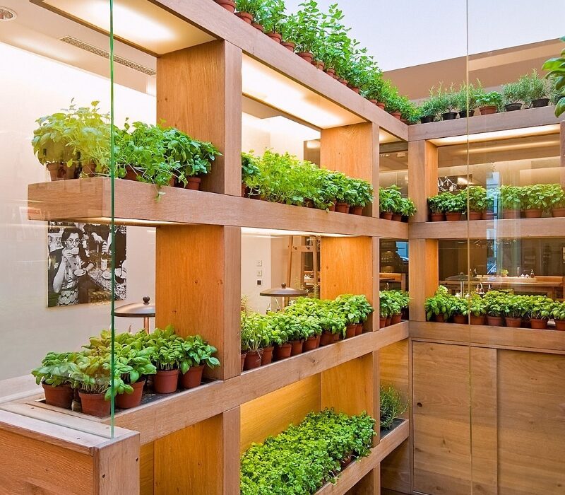 Untitled design (18)