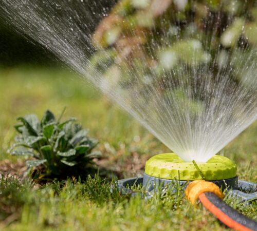 Untitled design (21)