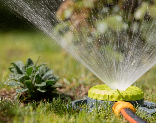 Untitled design (21)