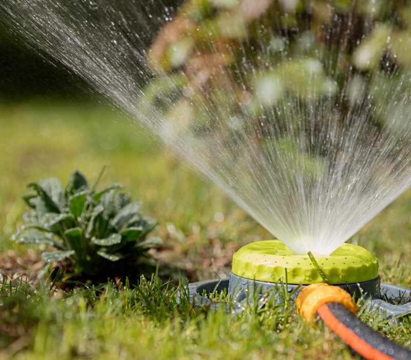 Untitled design (21)