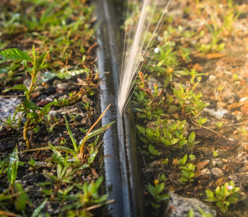 Untitled design (22)