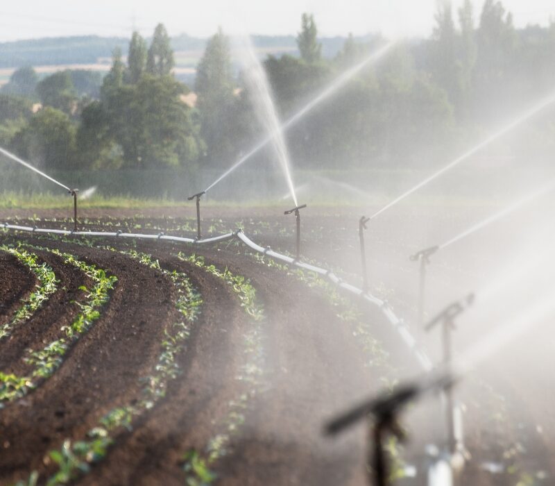 Untitled design (23)