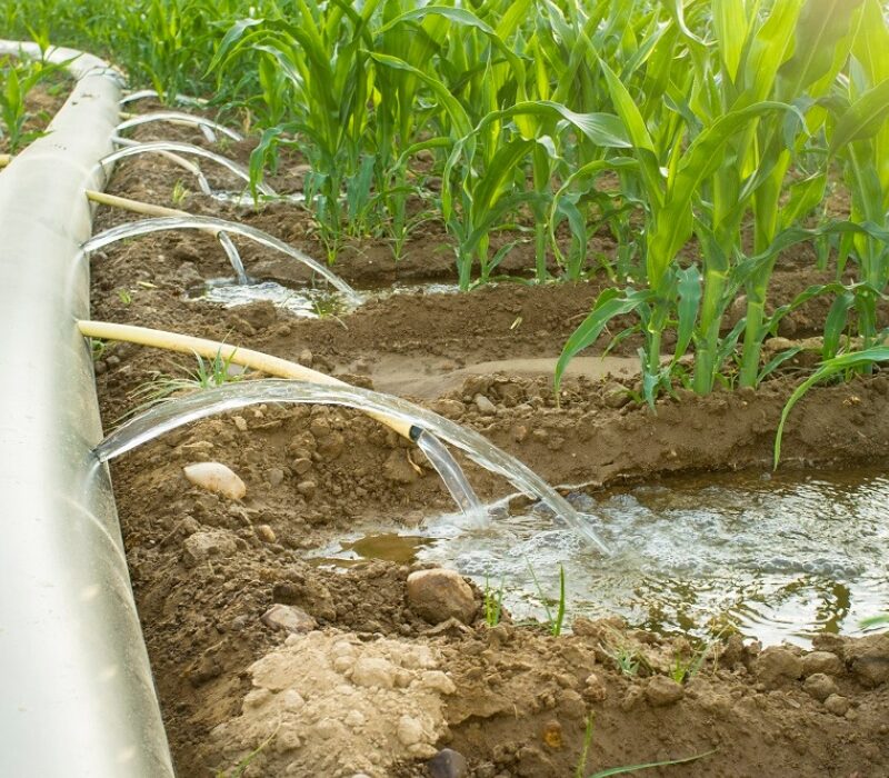 Untitled design (24)