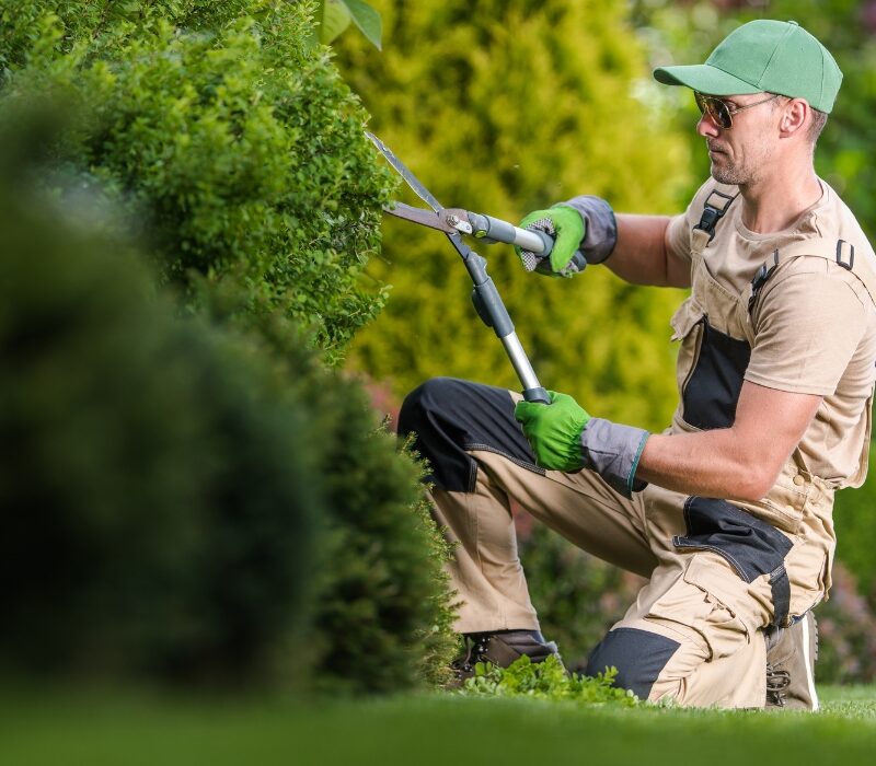 Untitled design (41)