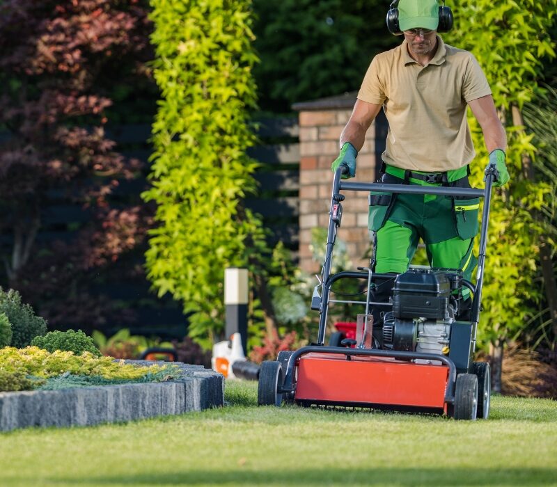 Untitled design (42)