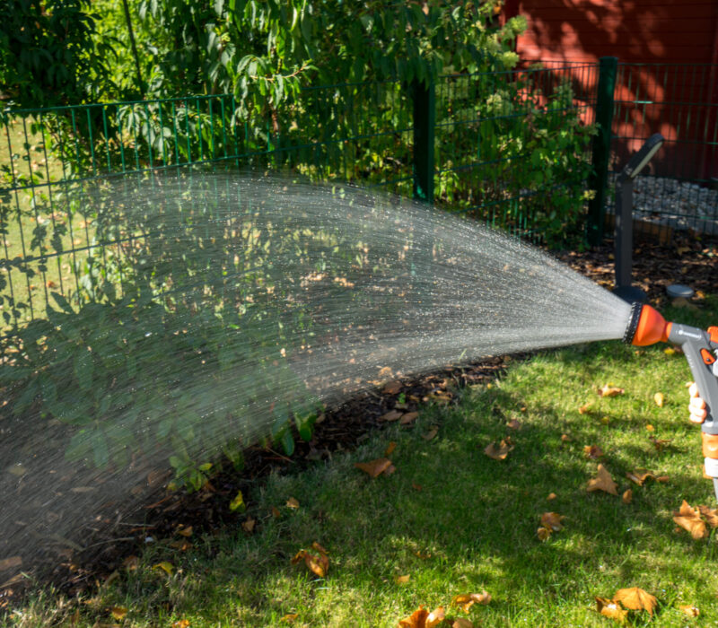 cropped-image-hand-spraying-water-plants-yard