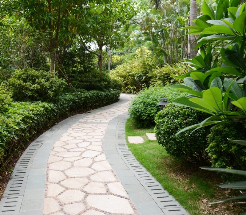 Untitled design (44)