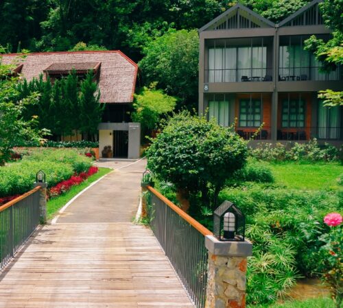 Untitled design (45)