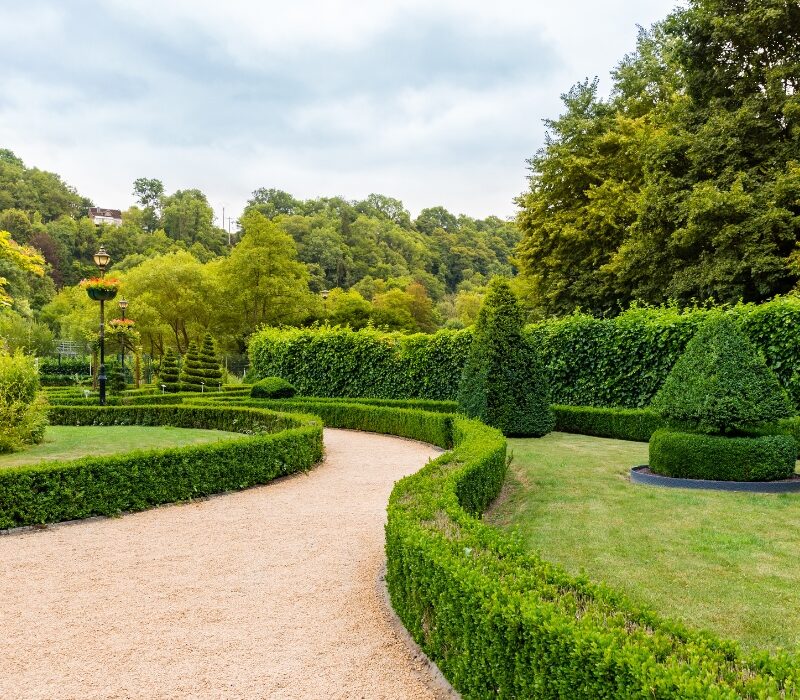 Untitled design (48)