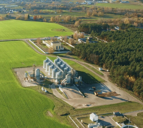 Untitled design (49)