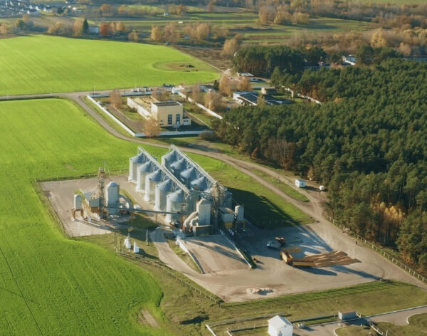 Untitled design (49)