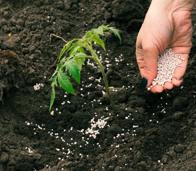 Untitled design (10)