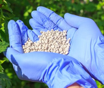 Untitled design (12)