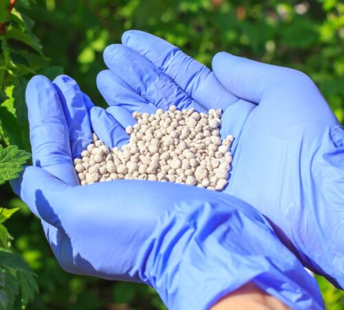 Untitled design (12)