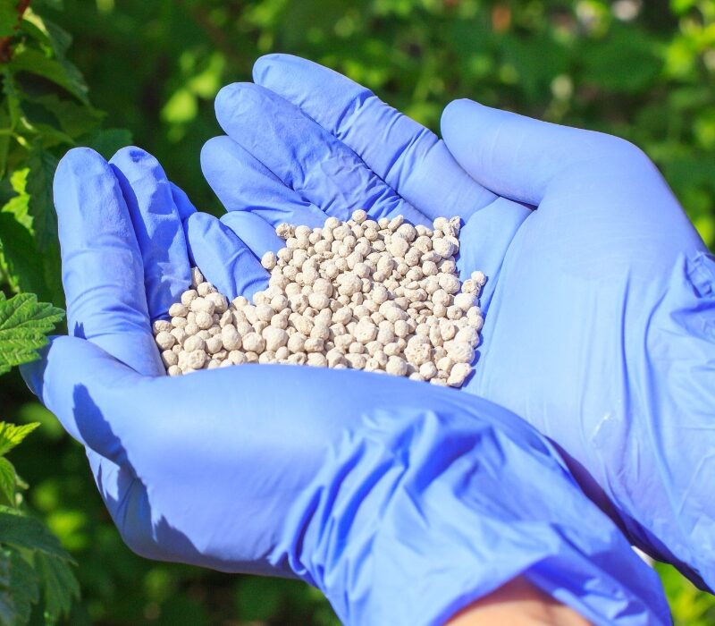 Untitled design (12)