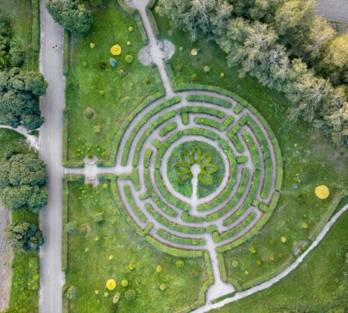 Untitled design (23)