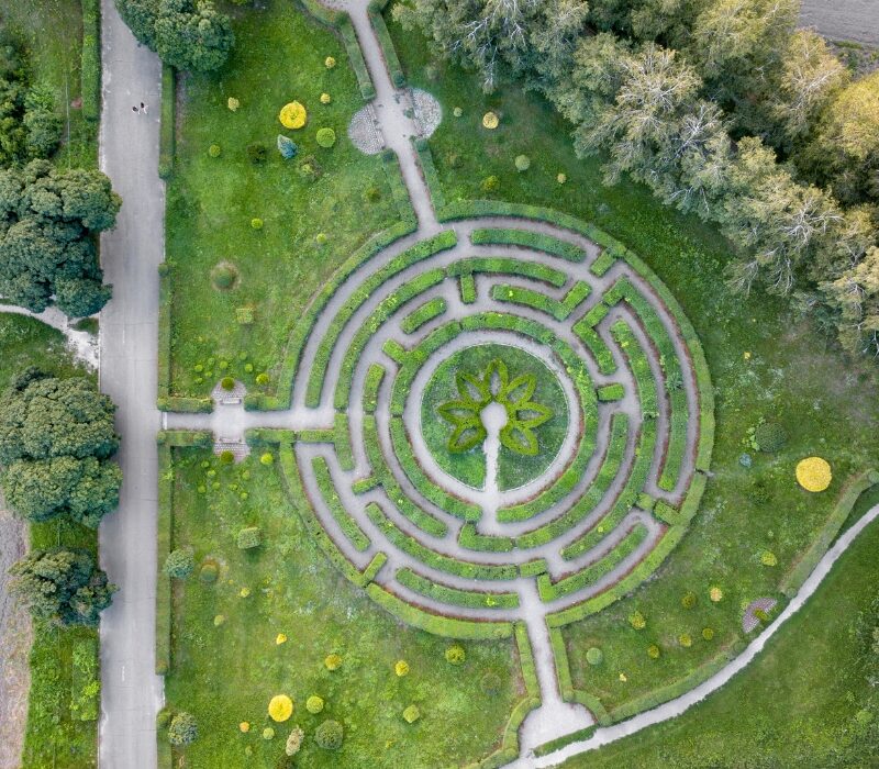 Untitled design (23)