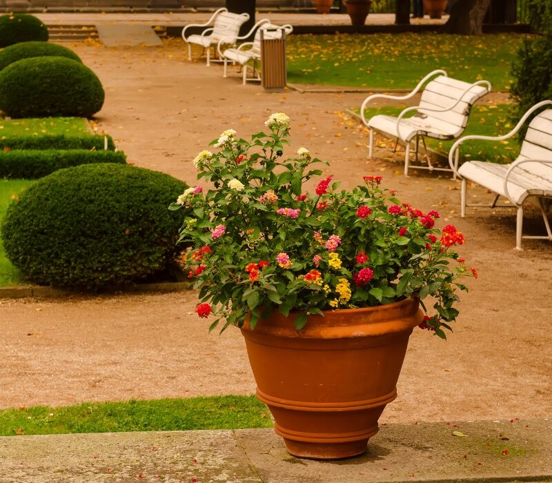 Untitled design (31)