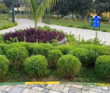 WhatsApp Image 2026-02-05 at 8.35.34 PM