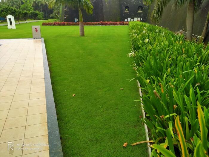 WhatsApp Image 2026-02-05 at 8.41.03 PM (3)