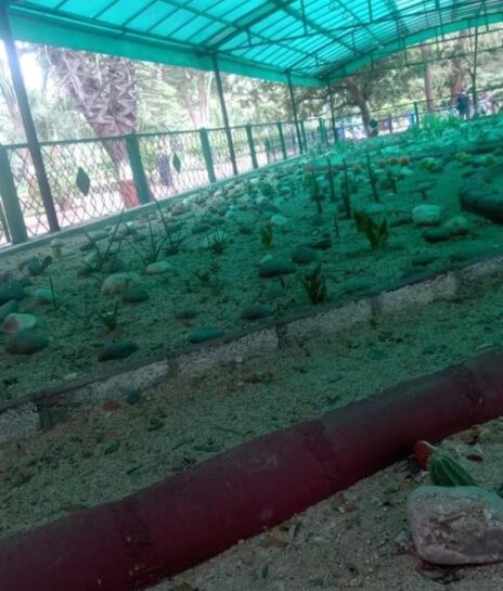 WhatsApp Image 2026-02-05 at 8.41.07 PM (1)