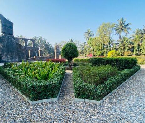 WhatsApp Image 2026-02-05 at 8.41.09 PM (1)